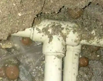 丹阳测漏水多少钱