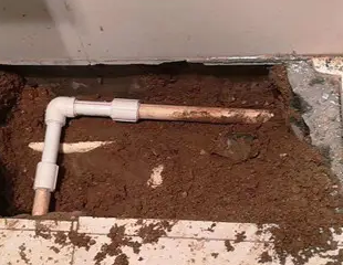 丹阳测漏水哪家好