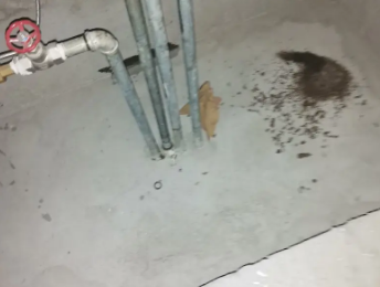 丹阳卫生间测漏水价格明细